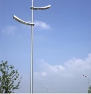 53++Aluminum Street Light Pole1243